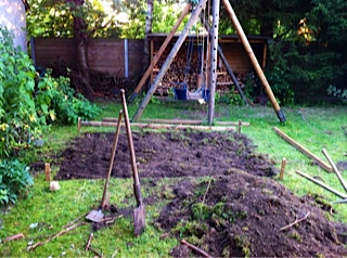 Erst wurde die Grundfläche bestimmt und von Wurzeln befreit.