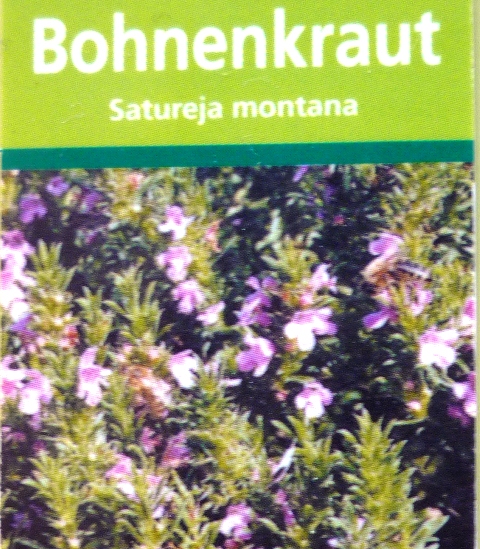 Bohnenkraut_1.jpg