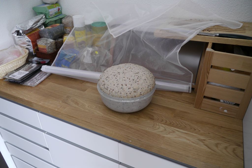 Dank der vielen Hefe aus dem Originalrezept brauchte der Teig bald danach einen weiteren Behälter