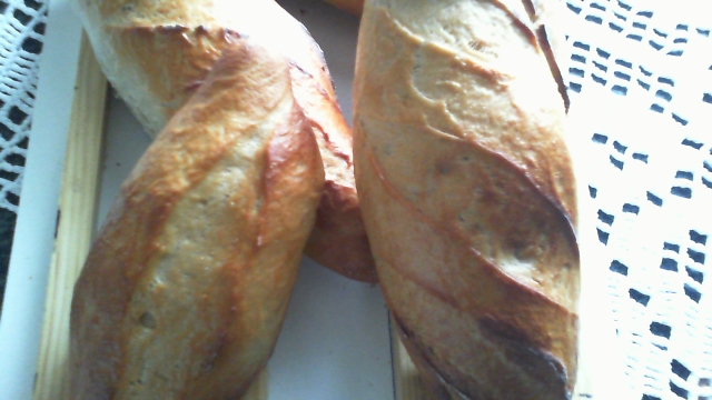 2013-03-02 10-56-26.223.jpg