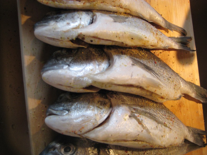 Fisch1.JPG