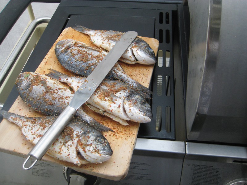 Fisch 6.JPG