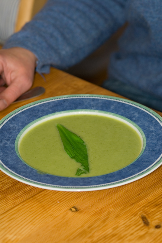 20130413Wobecker-Bärlauchsuppe001.jpg