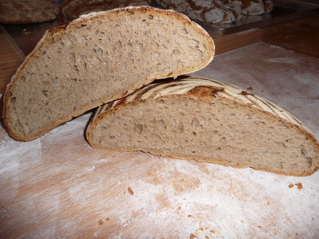 20130610_EBOPane_Anschnitt.JPG