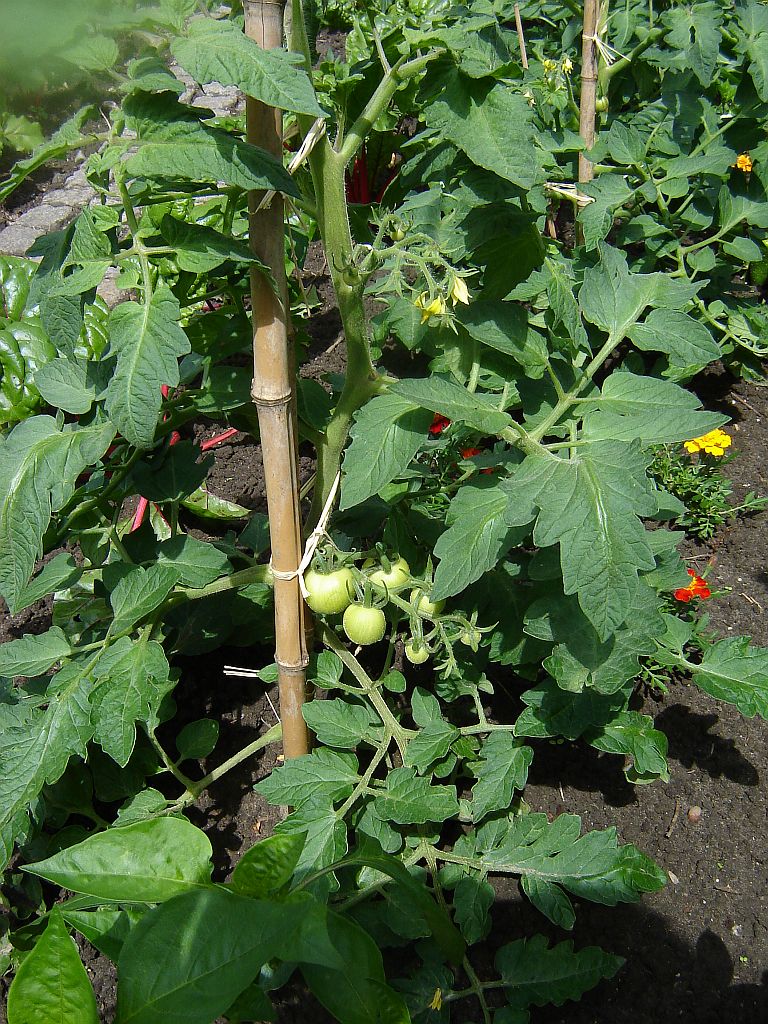 Gartenimpressionen02.jpg