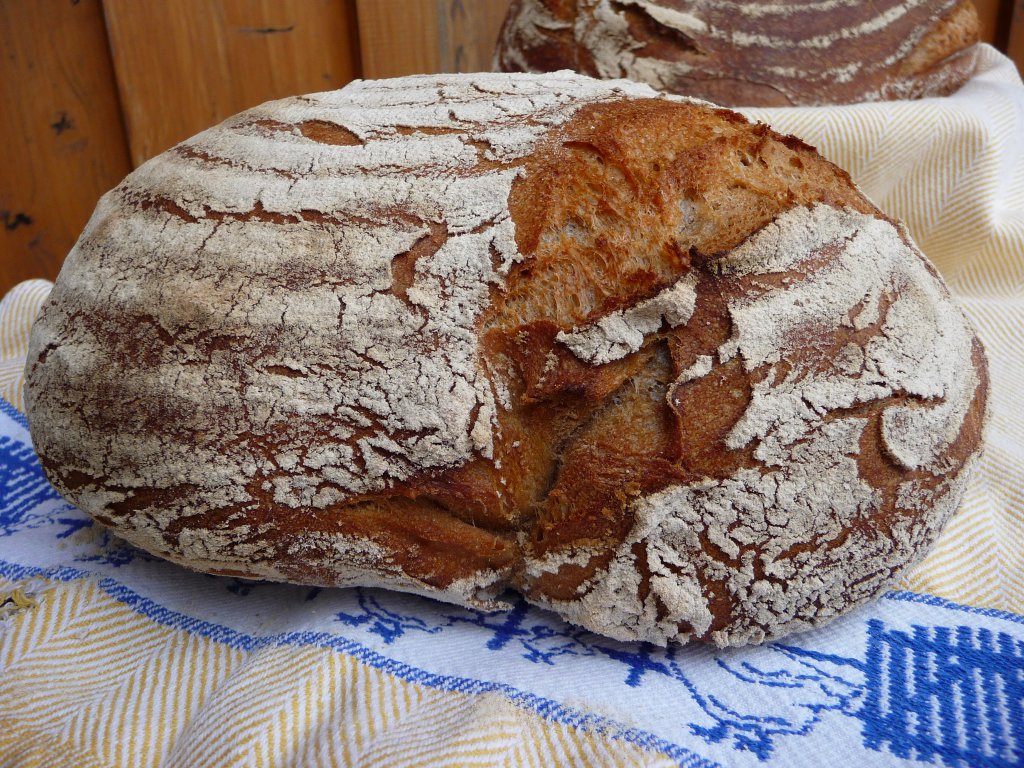 20130624_2erWurf_02.JPG