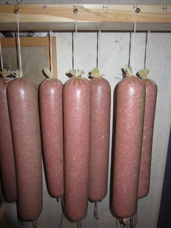 Detail Holli.JPG