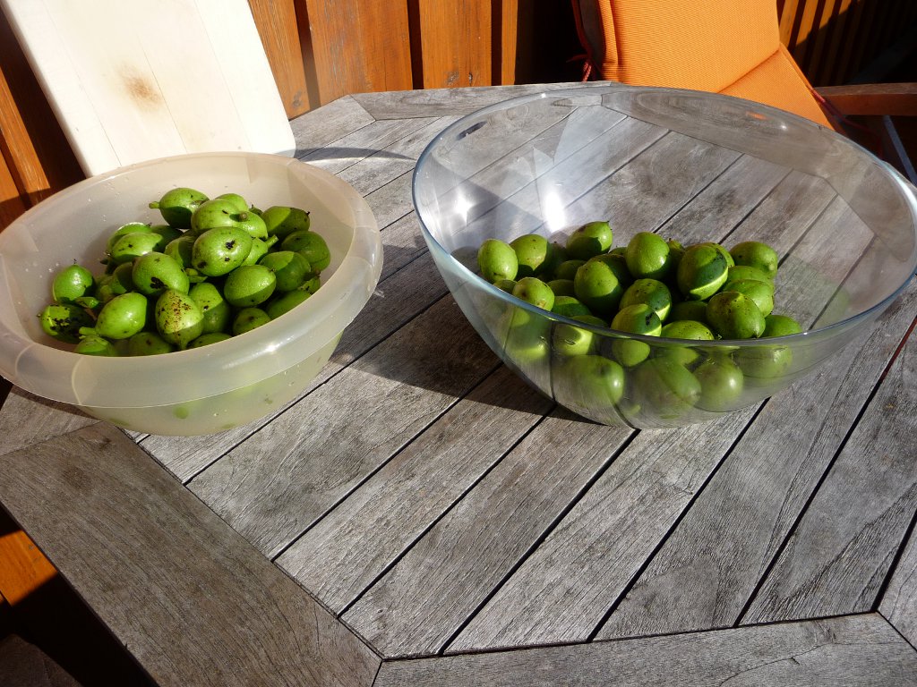 20130712_SchwarzNuss_02.JPG