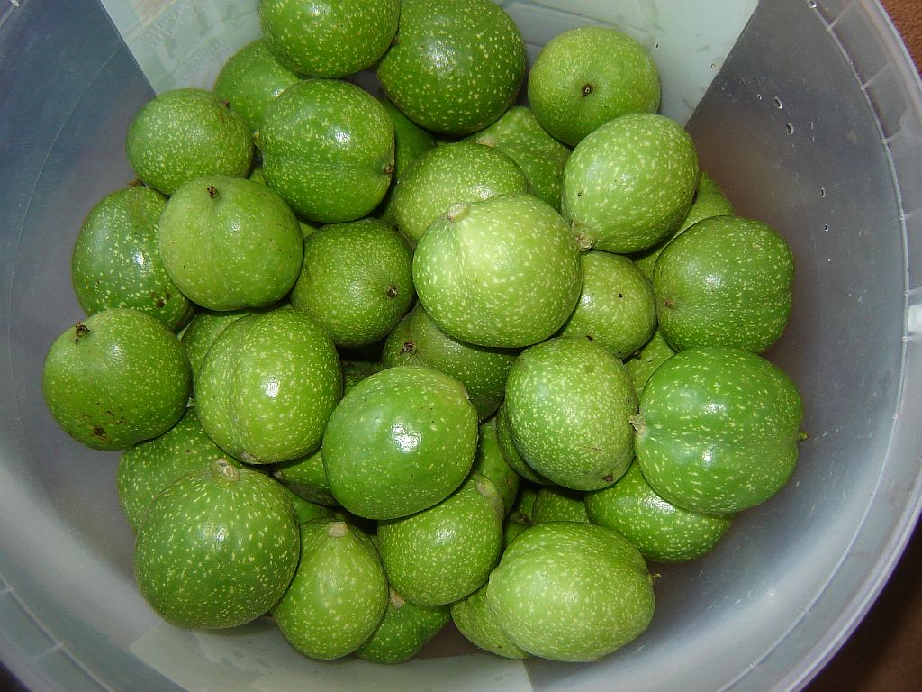 Schwarze Nüsse 01.jpg