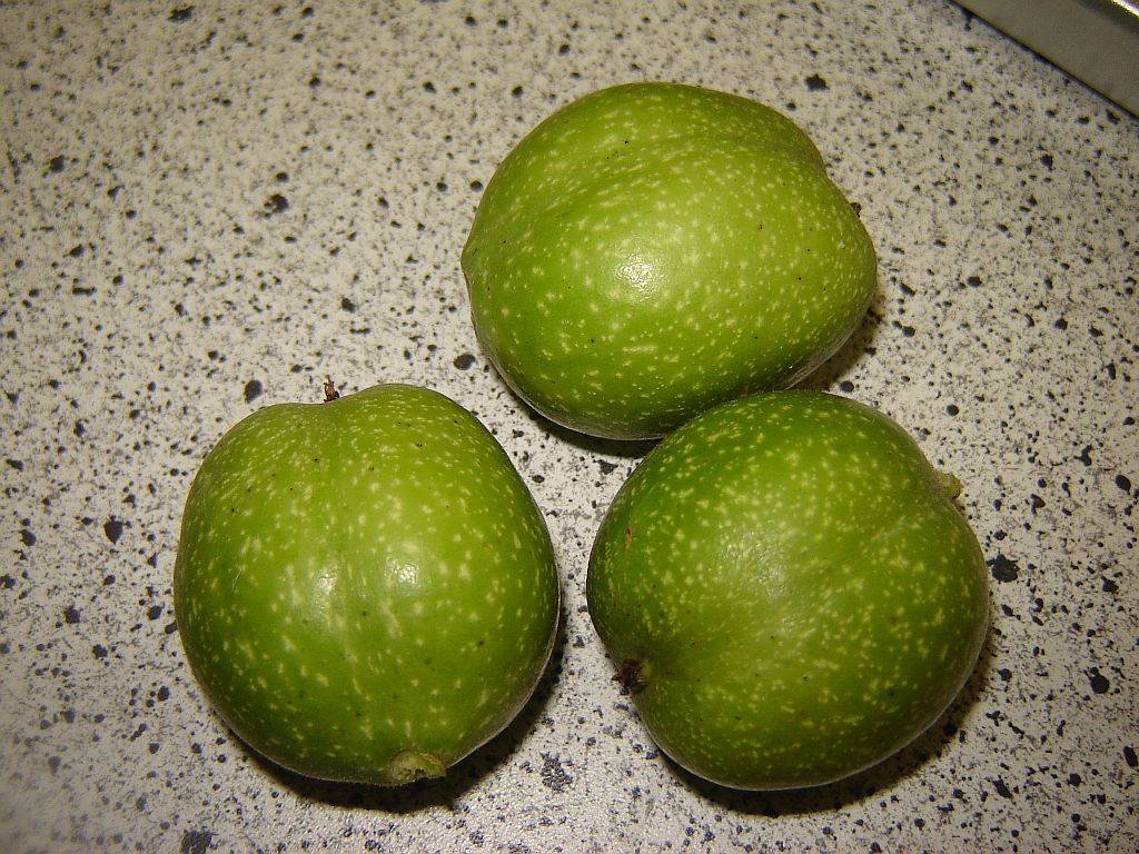Nussvakuum01.jpg