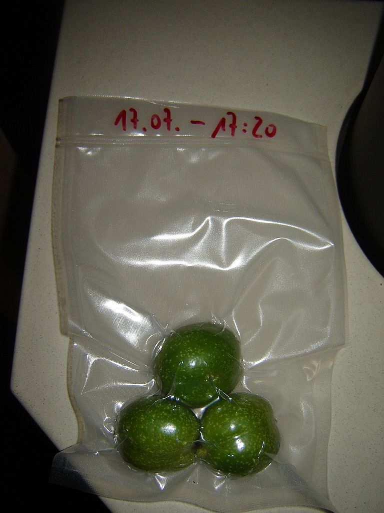 Nussvakuum04.jpg