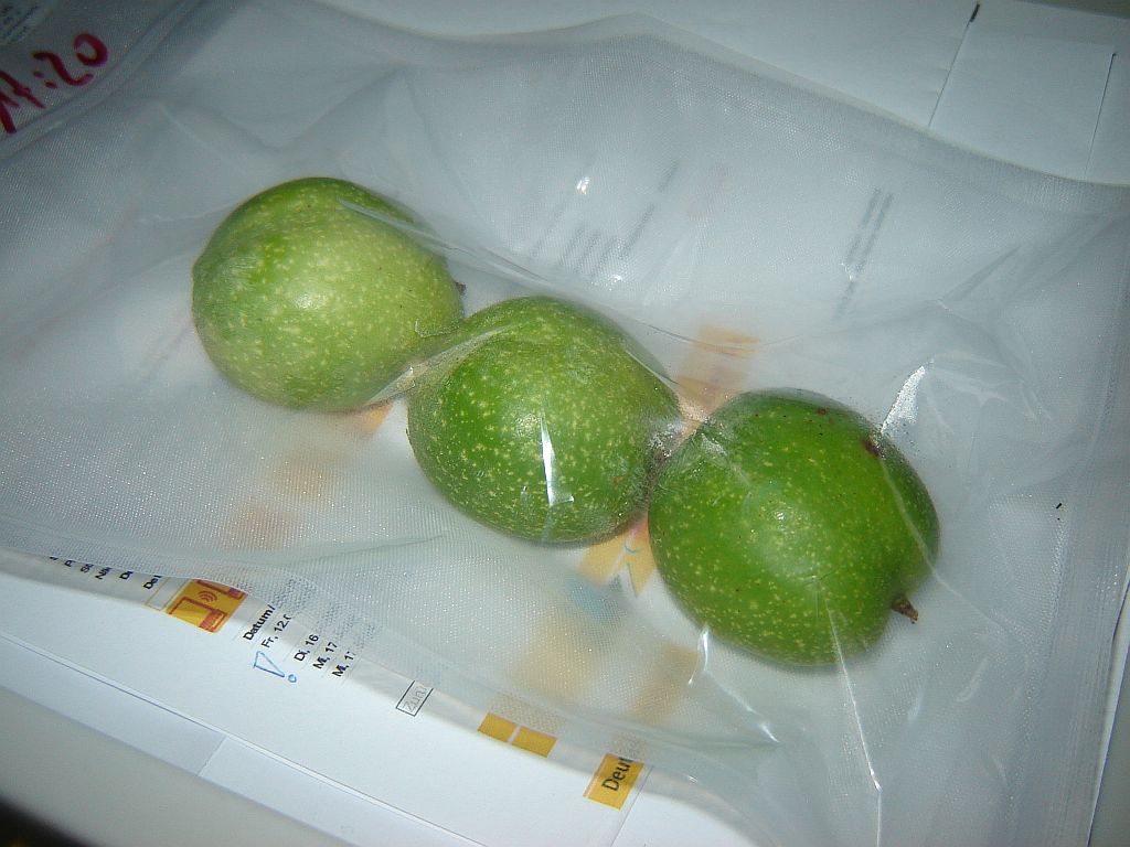 Nussvakuum05.jpg