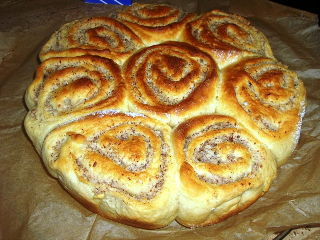 schnecken 062.jpg