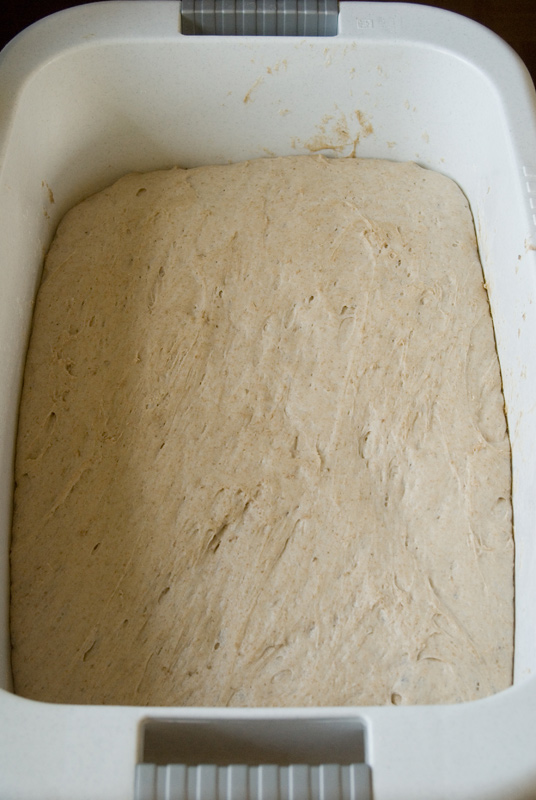 270713Teig-für-6-Pane-Maggiore-1kg-Brote001.jpg