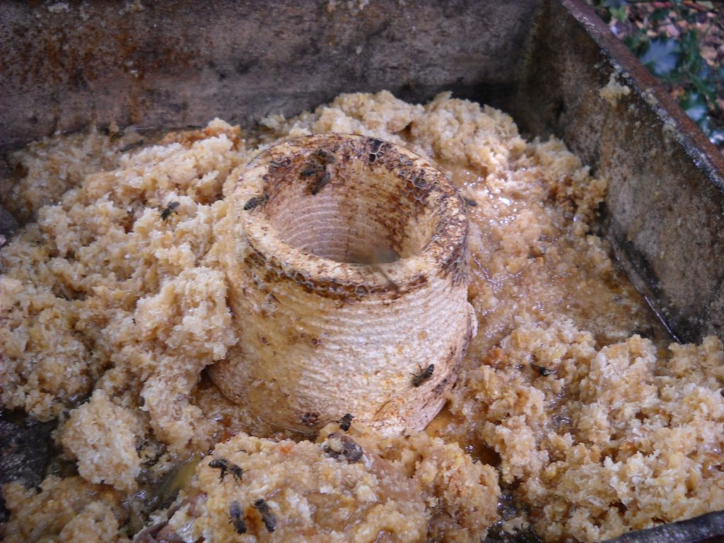 k-Garten 006.jpg