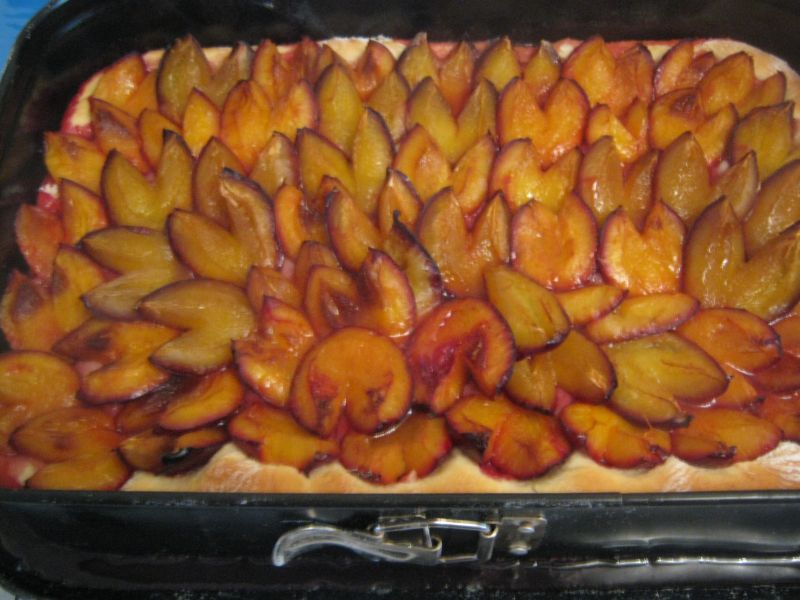 IMG_1766.JPG