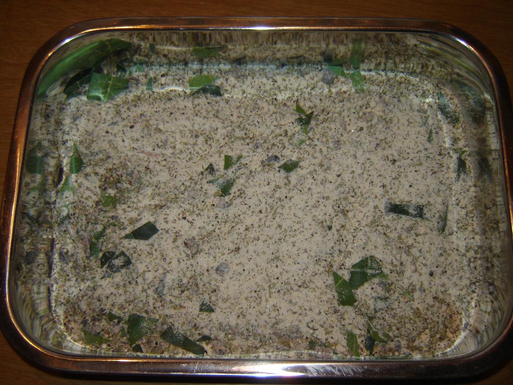 bbb08.jpg