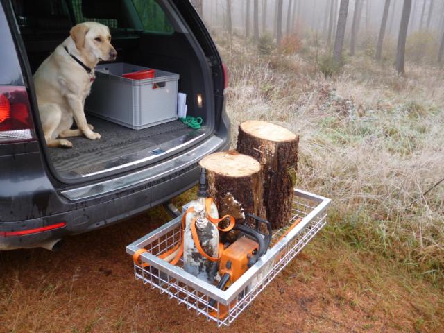 Holz holen.JPG