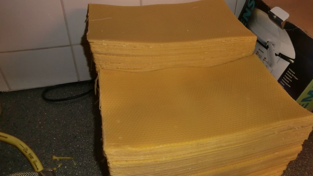 CIMG8849.JPG