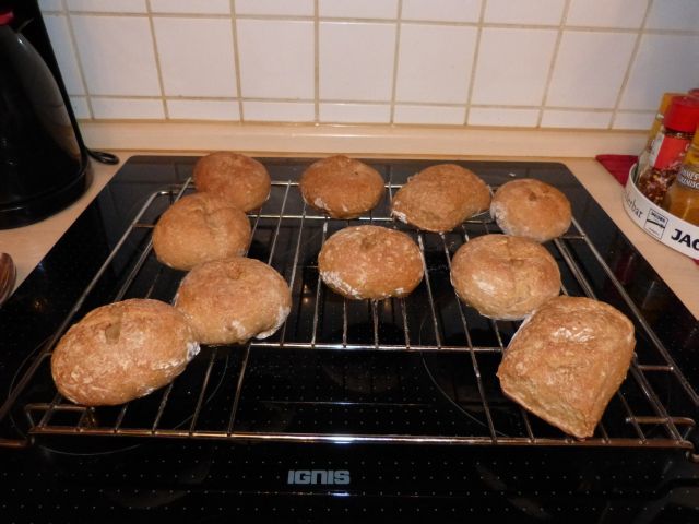 P1000210.JPG