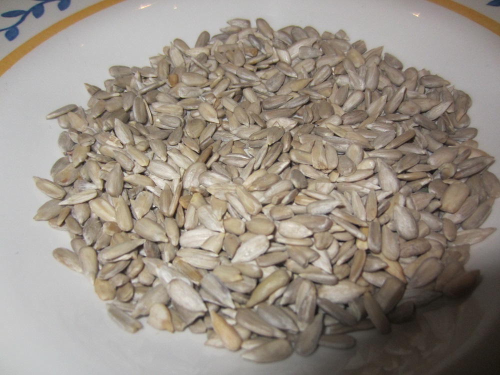 Aufstreu Sonnenblumenkerne.JPG