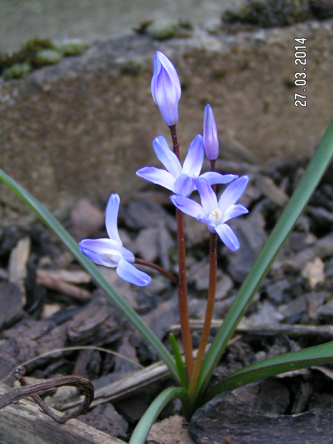 PICT0028.JPG