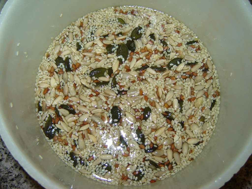 Hamster02.jpg