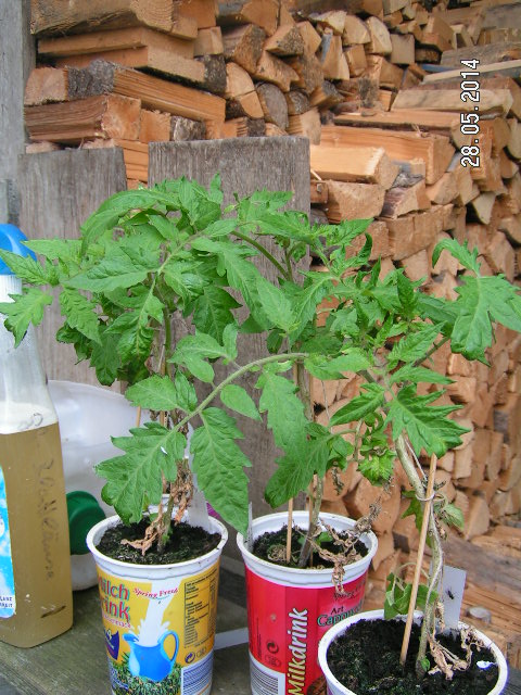 PICT0025.JPG