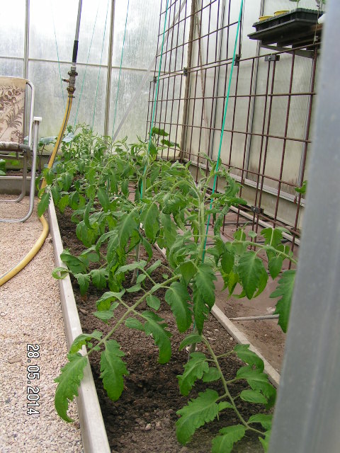PICT0022.JPG