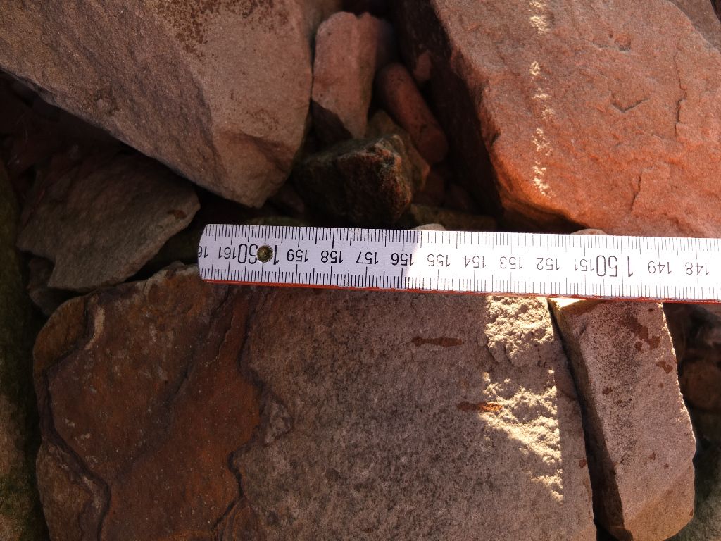 DSCF6194.JPG