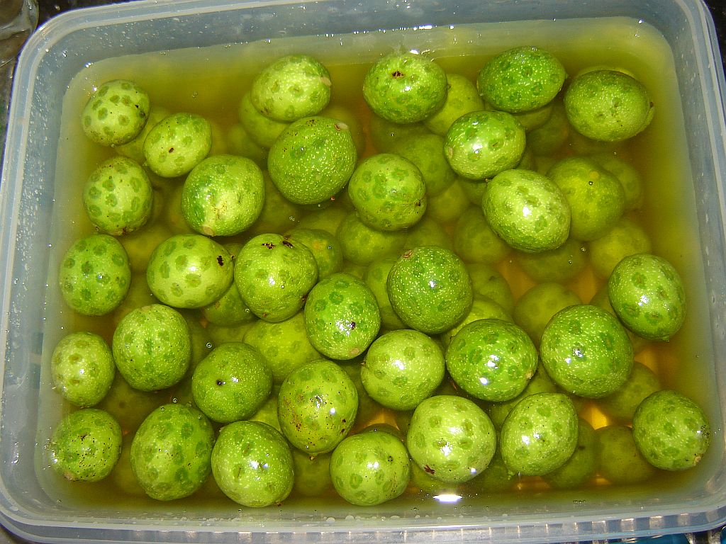 Schwarze Nüsse 2014 01.jpg