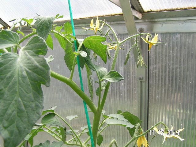 PICT0022.JPG
