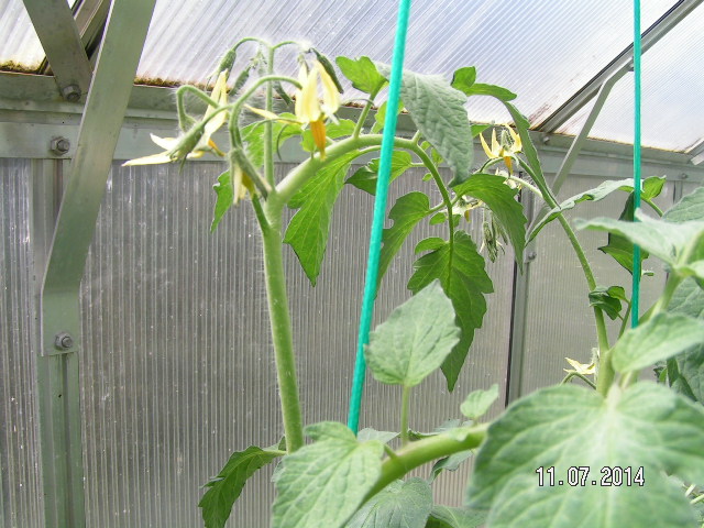 PICT0023.JPG