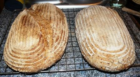 08 Five Grain Levain1.JPG