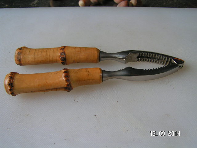 PICT0154.JPG