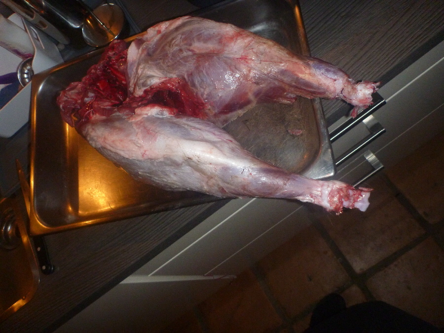 Hier läuft nix mehr