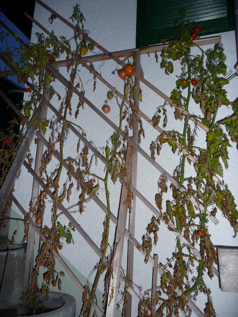 20141122_04.JPG
