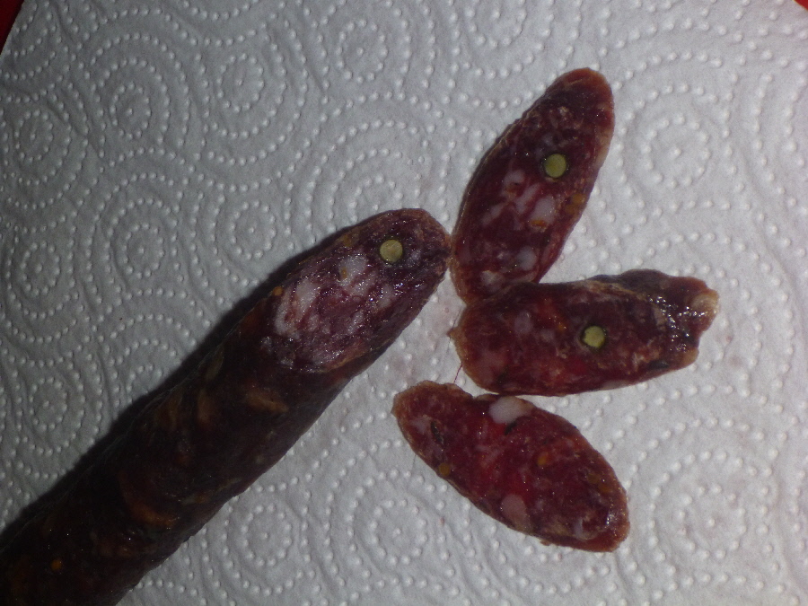 Wildsalami