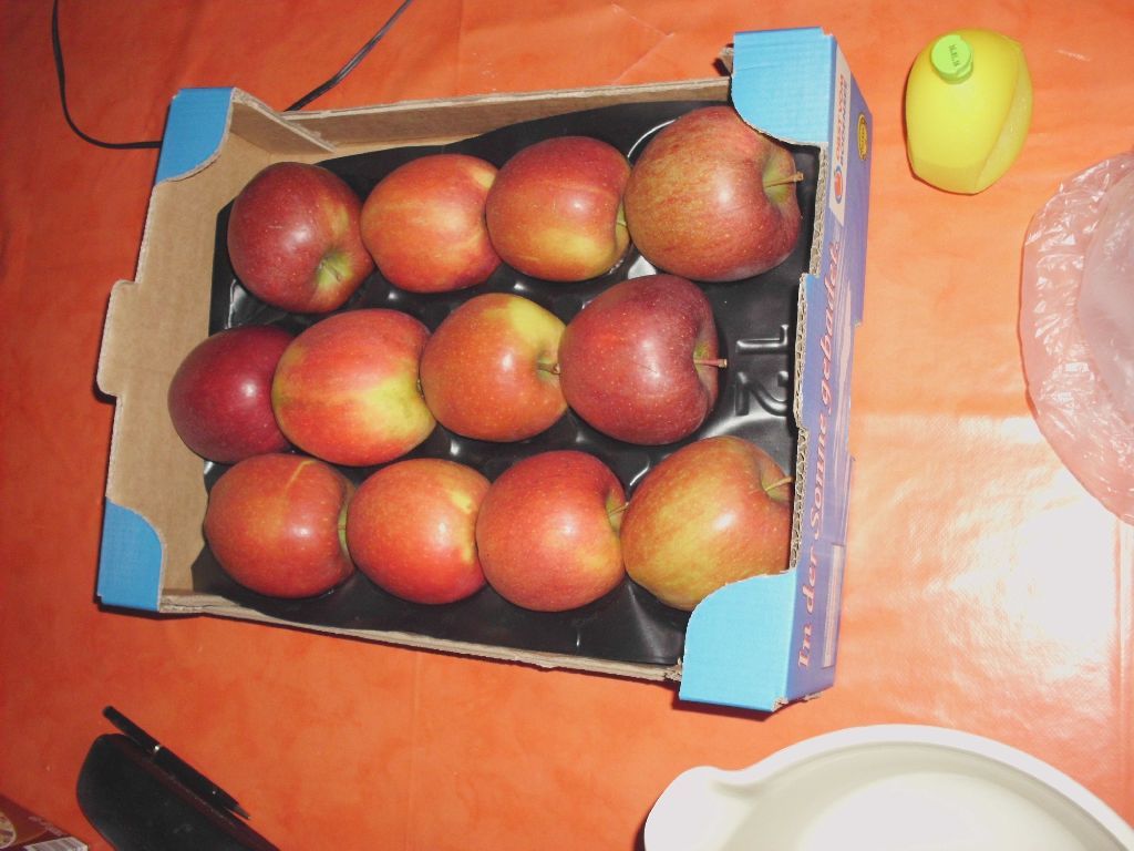 DSCI1604.JPG