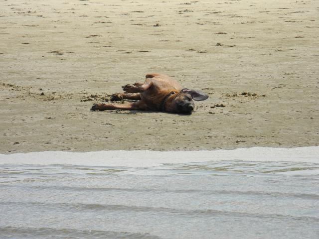 DSCN5093.jpg