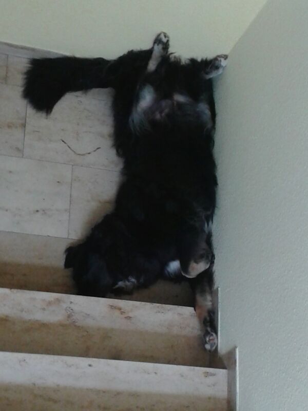 IMG-20130728-WA0000.jpg