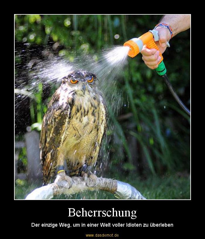 Selbstbeherrschung.jpg