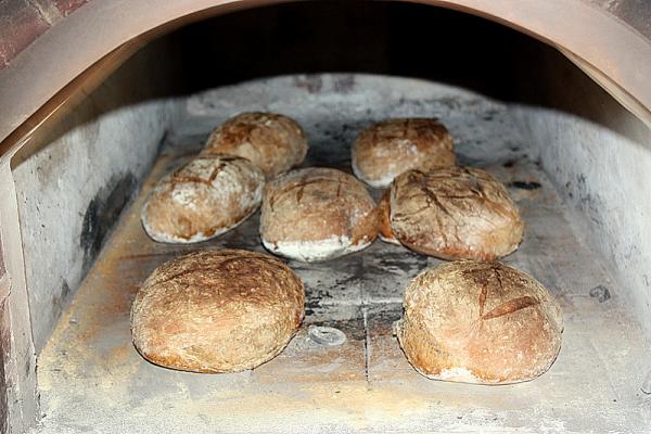 Dreetzsee Ofen innen.jpg