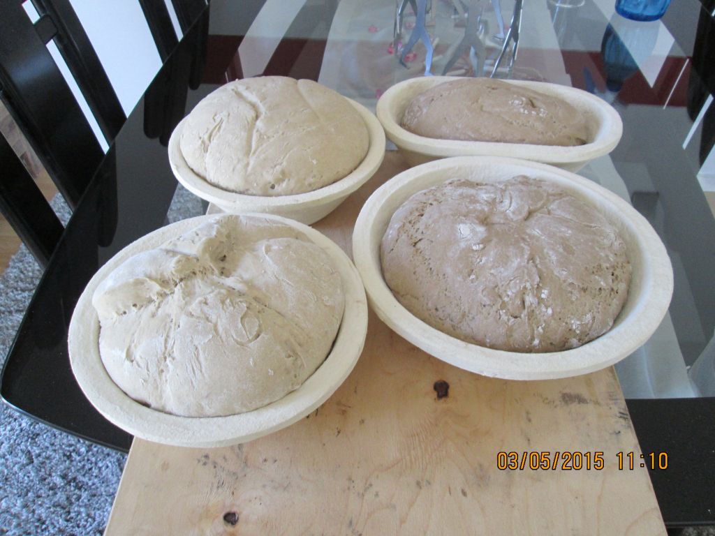 Münsterländer Bauernstuten.jpg1.jpg