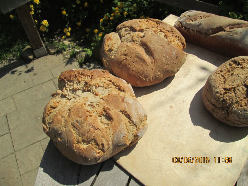 Münsterländer Bauernstuten.jpg2.jpg