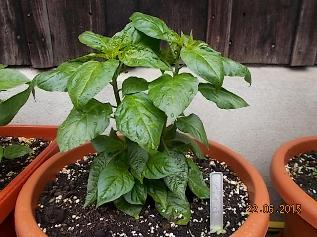 DSCN1014.JPG