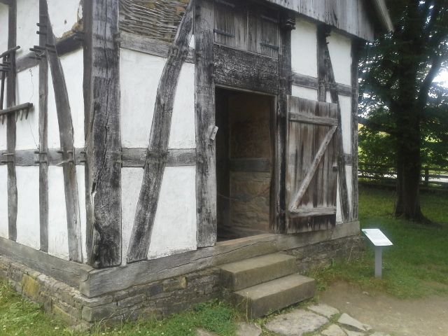 Backhaus