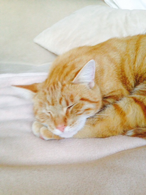 Gisbert heute....in nem ruhigen Moment