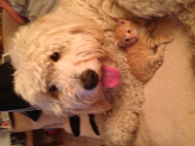 so hat mal alles angefangen mit den beiden