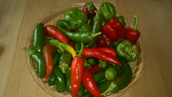 Rest....plus 4-5 kleine Paprika